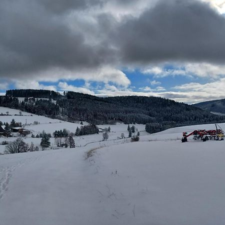 Schwarzwaldstube Apartment Titisee-Neustadt Bagian luar foto